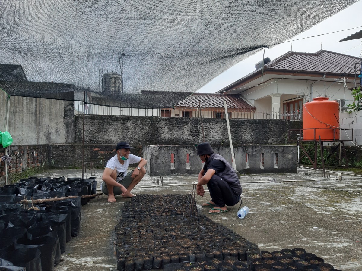 Menanam Kembali dan Revitalisasi Agent of&nbsp;Change